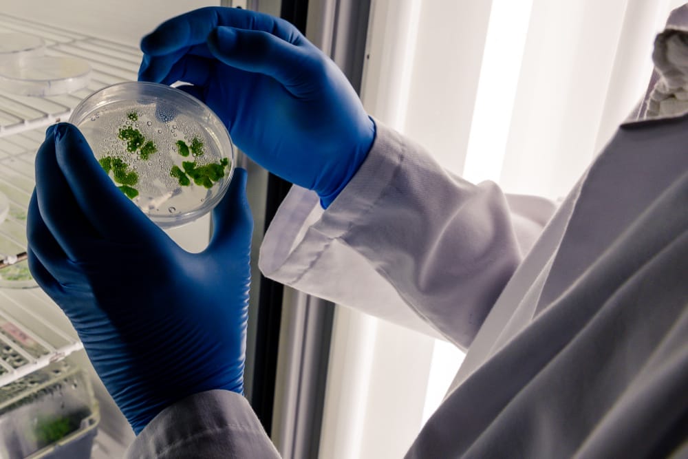 biological safety lab tech